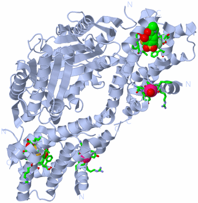 Image Biol. Unit 1 - sites