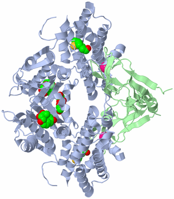 Image Biological Unit 1