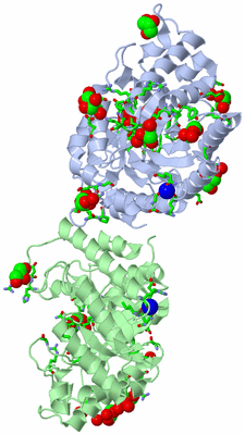 Image Asym./Biol. Unit - sites