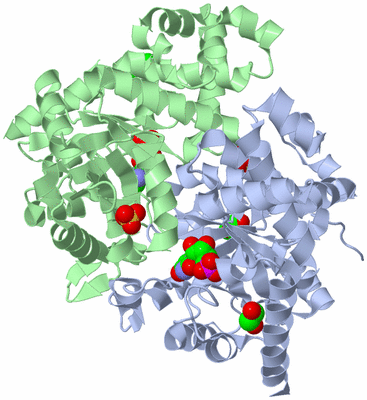 Image Asym./Biol. Unit