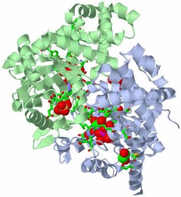 Image Asym./Biol. Unit - sites