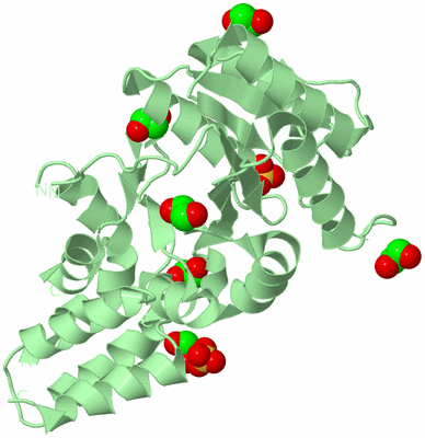 Image Biological Unit 2