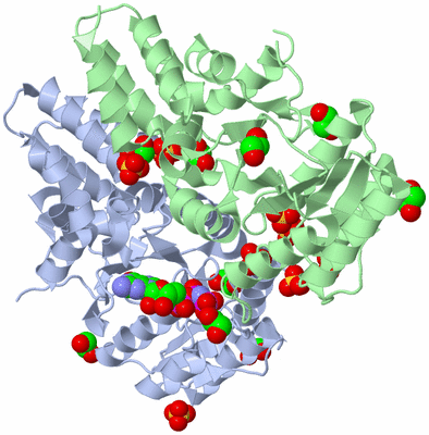 Image Biological Unit 3