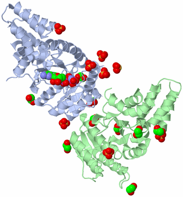 Image Biological Unit 4