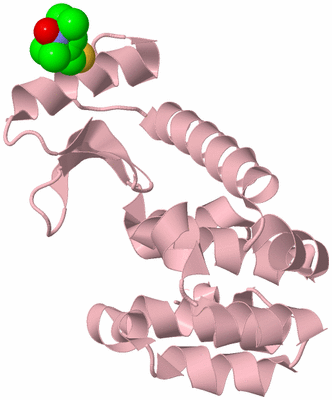 Image Biological Unit 3