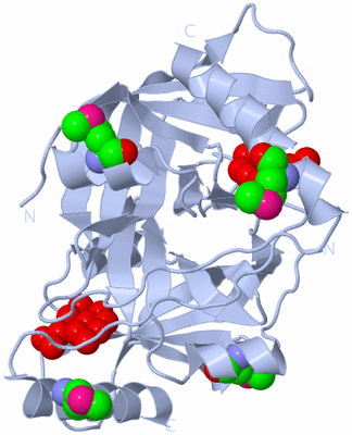 Image Biological Unit 1