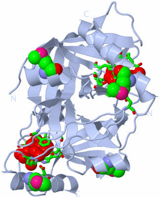 Image Biol. Unit 1 - sites