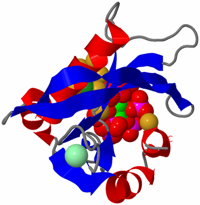 Image Asym./Biol. Unit