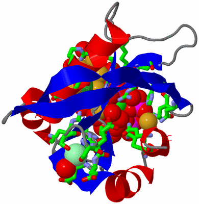 Image Asym./Biol. Unit - sites