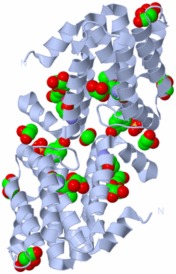 Image Biological Unit 1