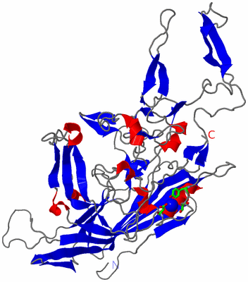 Image Asym. Unit - sites