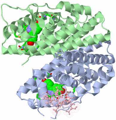 Image Asym./Biol. Unit - sites