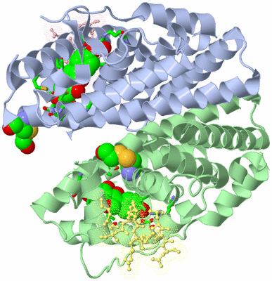 Image Asym./Biol. Unit - sites