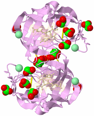 Image Biological Unit 1