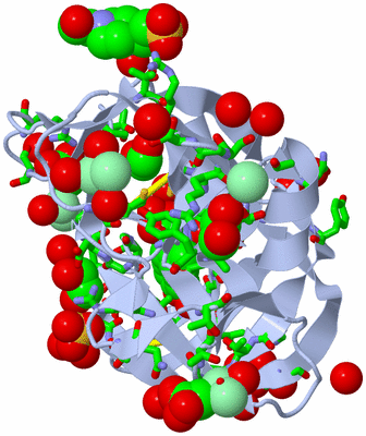 Image Biol. Unit 1 - sites