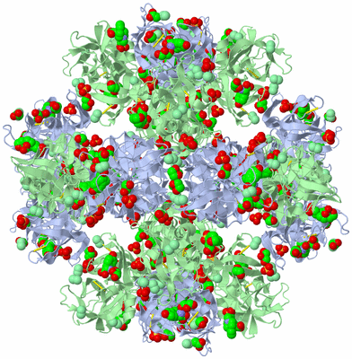 Image Biological Unit 3