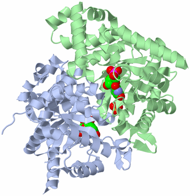 Image Asym./Biol. Unit