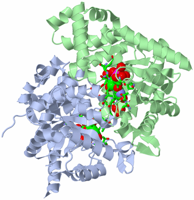 Image Asym./Biol. Unit - sites