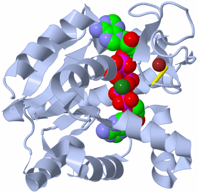 Image Biological Unit 1