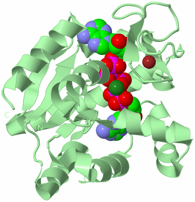 Image Biological Unit 2