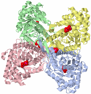 Image Asym./Biol. Unit