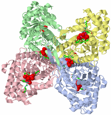 Image Asym./Biol. Unit - sites