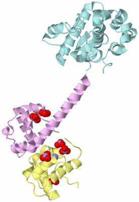 Image Biological Unit 2