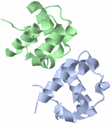 Image Asymmetric Unit