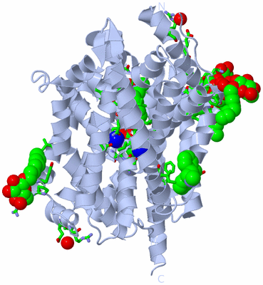 Image Biol. Unit 1 - sites