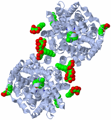 Image Biological Unit 2