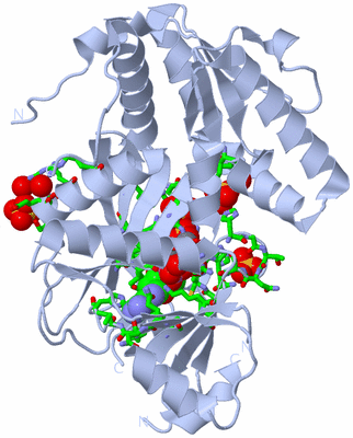 Image Biol. Unit 1 - sites