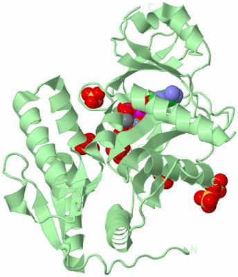 Image Biological Unit 2