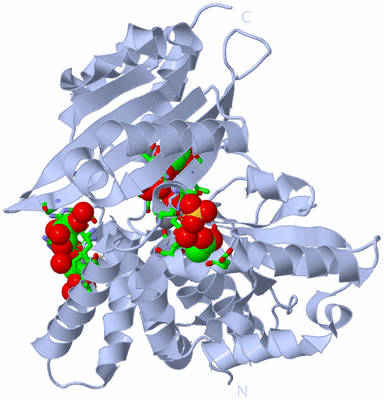 Image Biol. Unit 1 - sites