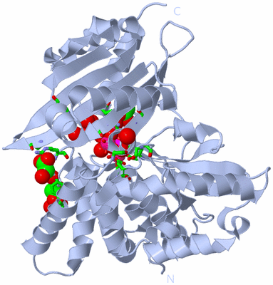 Image Biol. Unit 1 - sites