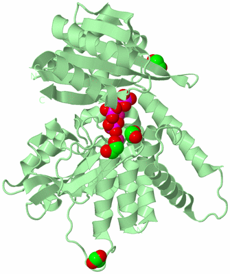 Image Biological Unit 2