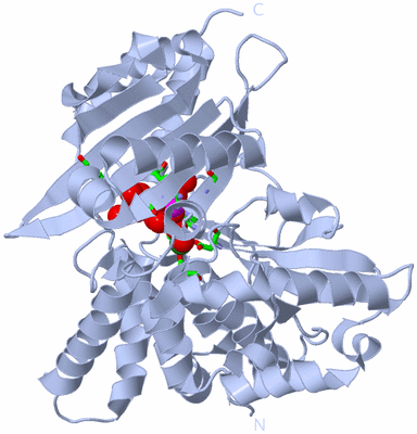 Image Biol. Unit 1 - sites