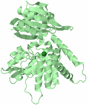 Image Biological Unit 2