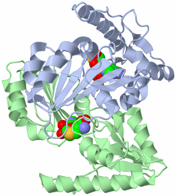 Image Asym./Biol. Unit