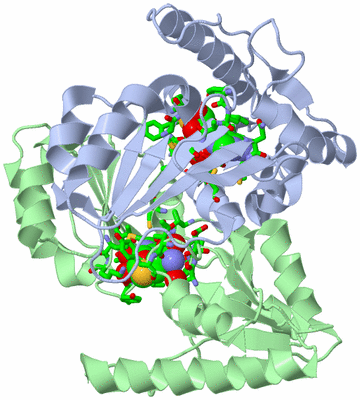 Image Asym./Biol. Unit - sites