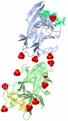 Image Biological Unit 3