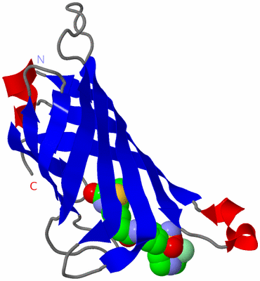 Image Asymmetric Unit