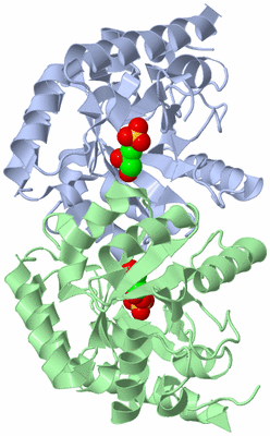 Image Asym./Biol. Unit