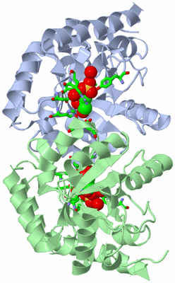 Image Asym./Biol. Unit - sites