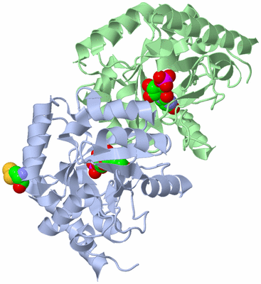 Image Asym./Biol. Unit