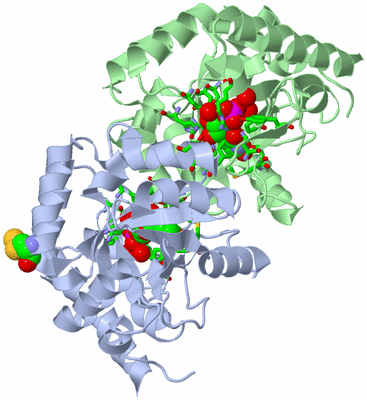 Image Asym./Biol. Unit - sites