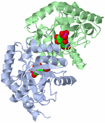 Image Asym./Biol. Unit