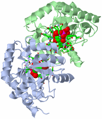 Image Asym./Biol. Unit - sites