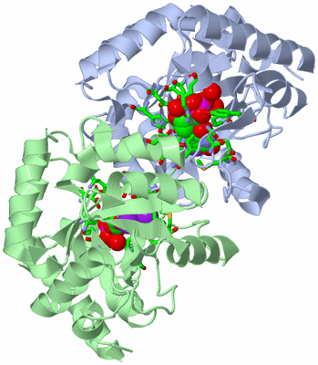 Image Asym./Biol. Unit - sites