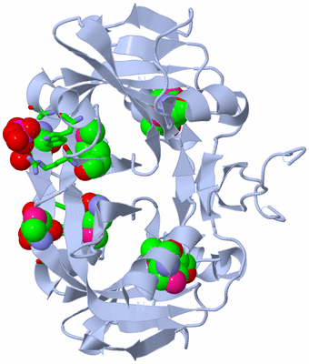 Image Biol. Unit 1 - sites