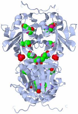 Image Biological Unit 2